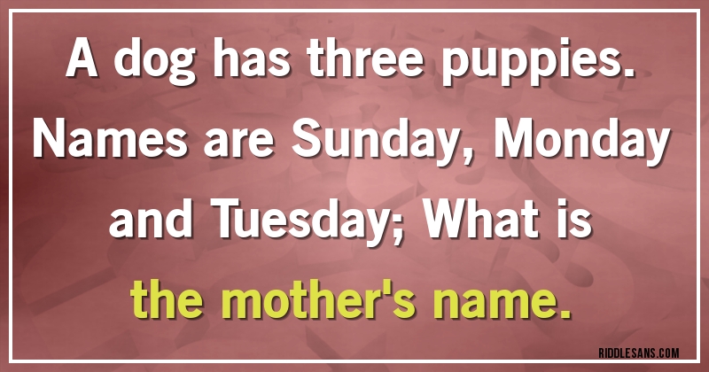 A dog has three puppies. Names are Sunday, Monday and Tuesday; What is the mother's name.