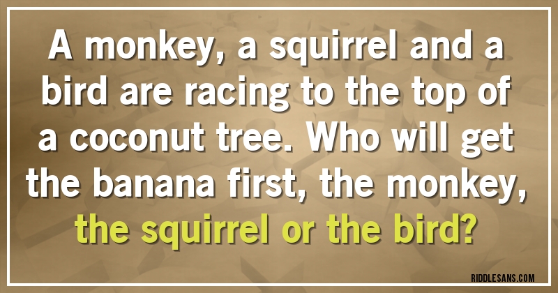 A monkey, a squirrel and a bird are racing to the top of a coconut tree. Who will get the banana first, the monkey, the squirrel or the bird?