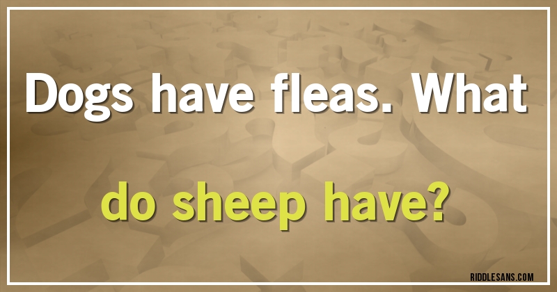 Dogs have fleas. What do sheep have?
