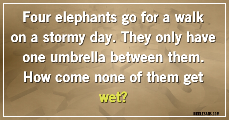 Four elephants go for a walk on a stormy day. They only have one umbrella between them. 
How come none of them get wet?