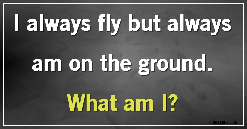 I always fly but always am on the ground. 
What am I?