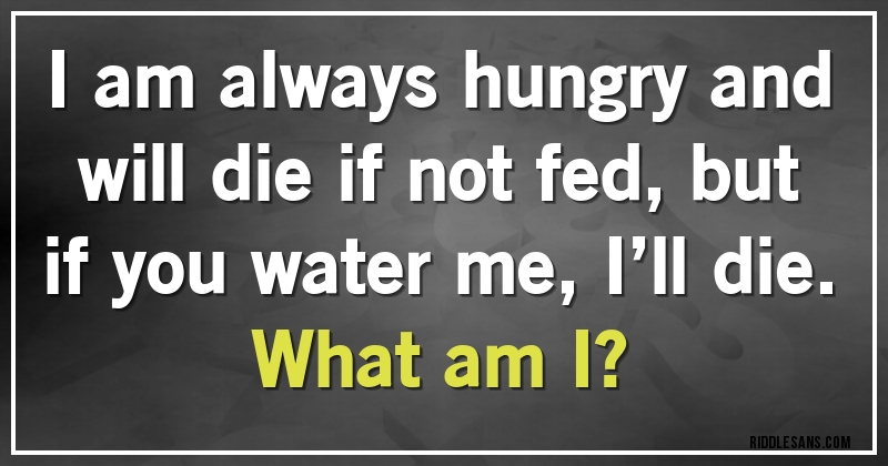 I am always hungry and will die if not fed, but if you water me, I’ll die. 
What am I? 