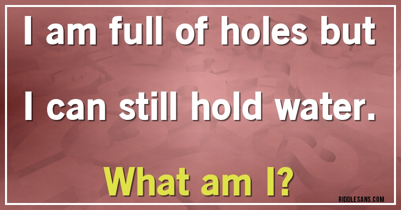 I am full of holes but I can still hold water.
What am I?