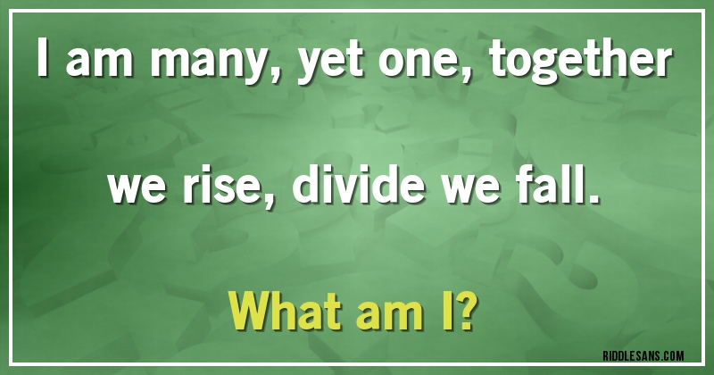 I am many, yet one, together we rise, divide we fall.
What am I?