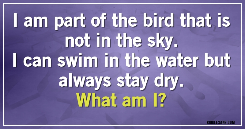 I am part of the bird that is not in the sky.
I can swim in the water but always stay dry.
What am I?