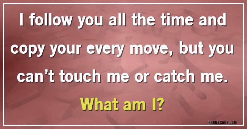 I follow you all the time and copy your every move, but you can’t touch me or catch me. 
What am I?