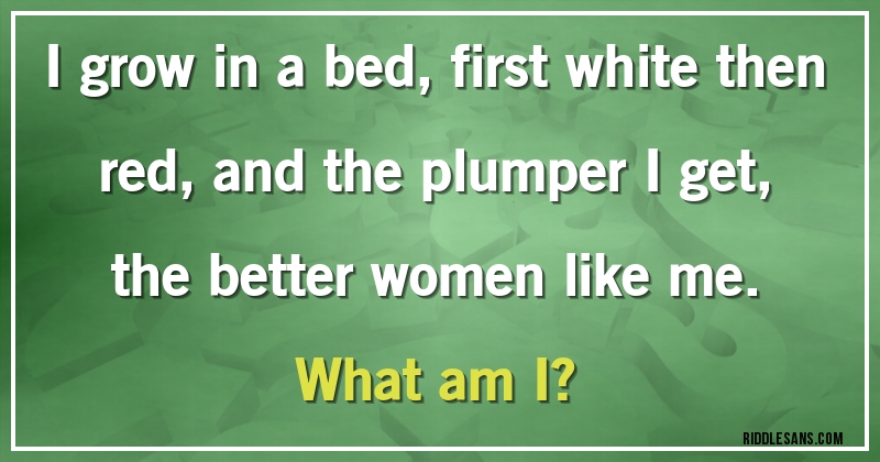 I grow in a bed, first white then red, and the plumper I get, the better women like me. 
What am I?