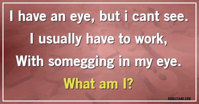 I have an eye, but i cant see.
I usually have to work,
With somegging in my eye.
What am I?