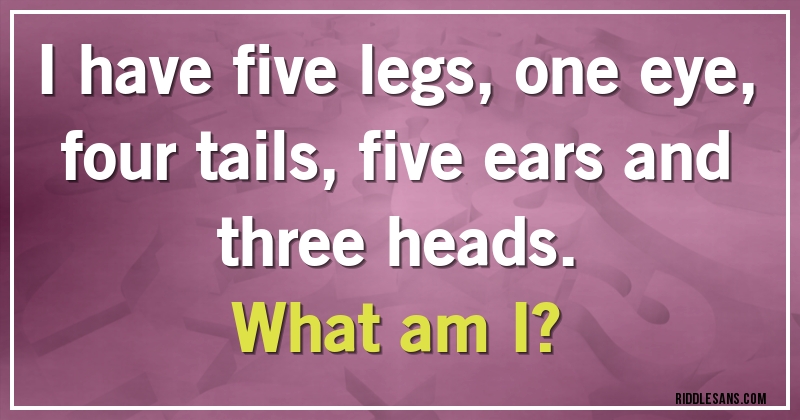 I have five legs, one eye, four tails, five ears and three heads. 
What am I?