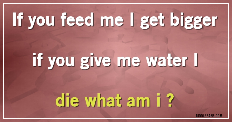 If you feed me I get bigger if you give me water I die what am i ?