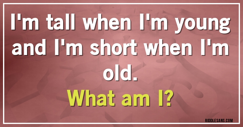 I'm tall when I'm young and I'm short when I'm old. 
What am I?