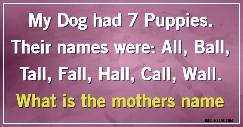 My Dog had 7 Puppies. Their names were: All, Ball, Tall, Fall, Hall, Call, Wall. 
What is the mothers name
