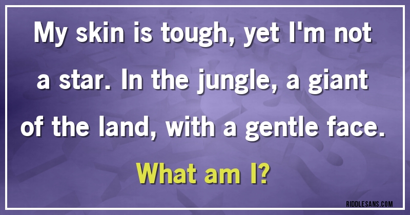 My skin is tough, yet I'm not a star. In the jungle, a giant of the land, with a gentle face.
What am I?