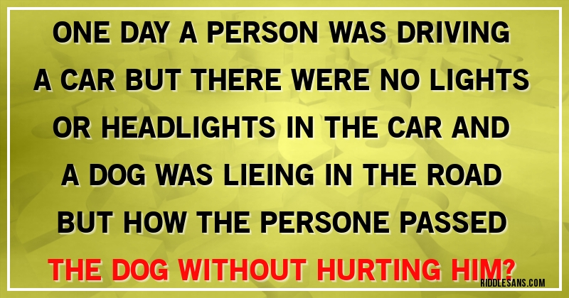 ONE DAY A PERSON WAS DRIVING A CAR BUT THERE WERE NO LIGHTS OR HEADLIGHTS IN THE CAR AND A DOG WAS LIEING IN THE ROAD BUT HOW THE PERSONE PASSED THE DOG WITHOUT HURTING HIM?