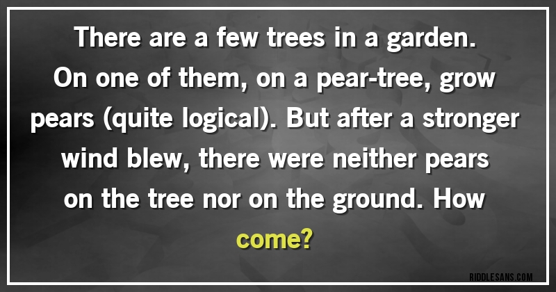 There are a few trees in a garden. On one of them, on a pear-tree, grow pears (quite logical). But after a stronger wind blew, there were neither pears on the tree nor on the ground. How come?