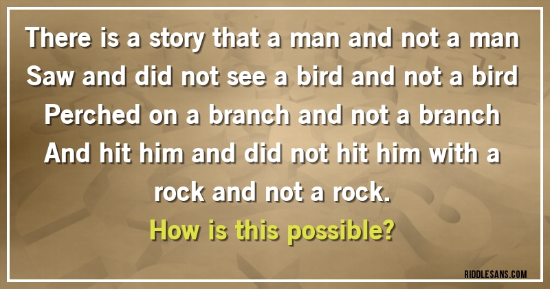 There is a story that a man and not a man
Saw and did not see a bird and not a bird
Perched on a branch and not a branch
And hit him and did not hit him with a rock and not a rock.
How is this possible?