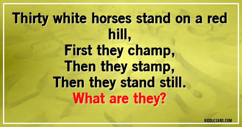 Thirty white horses stand on a red hill,
First they champ,
Then they stamp,
Then they stand still.

What are they?