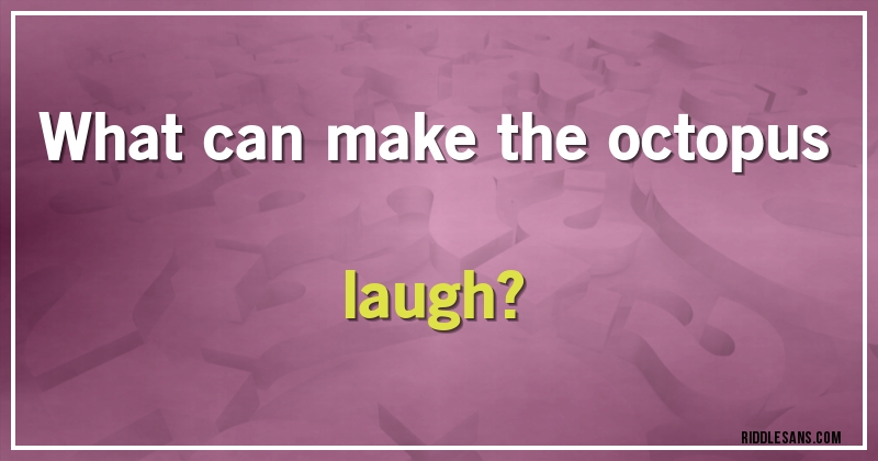 What can make the octopus laugh?