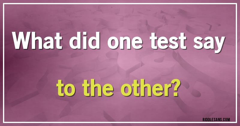 What did one test say to the other?