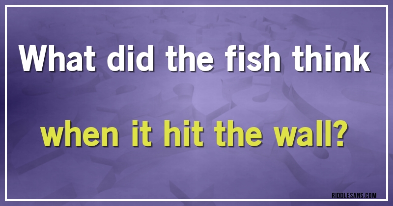 What did the fish think when it hit the wall?