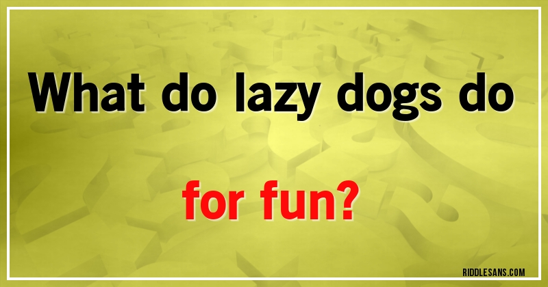 What do lazy dogs do for fun?
