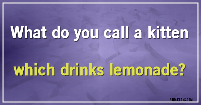 What do you call a kitten which drinks lemonade?