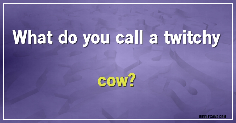 What do you call a twitchy cow?