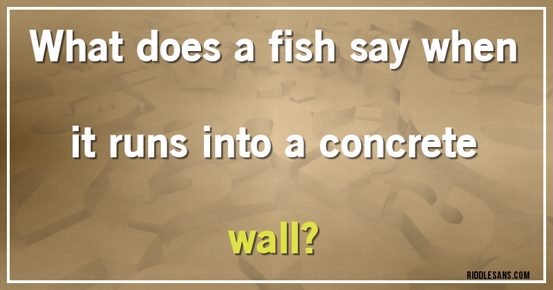 What does a fish say when it runs into a concrete wall?