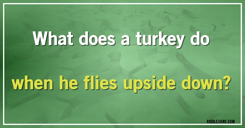 What does a turkey do when he flies upside down?