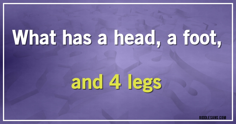 what has a head, a foot, and 4 legs