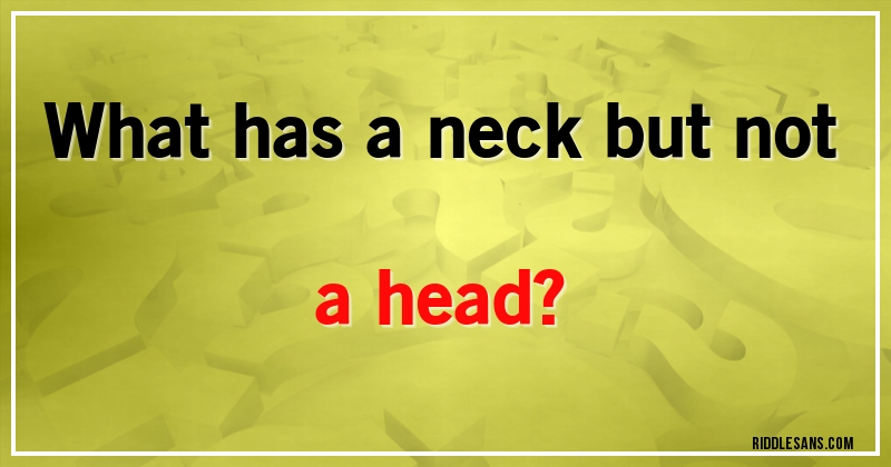 What has a neck but not a head?