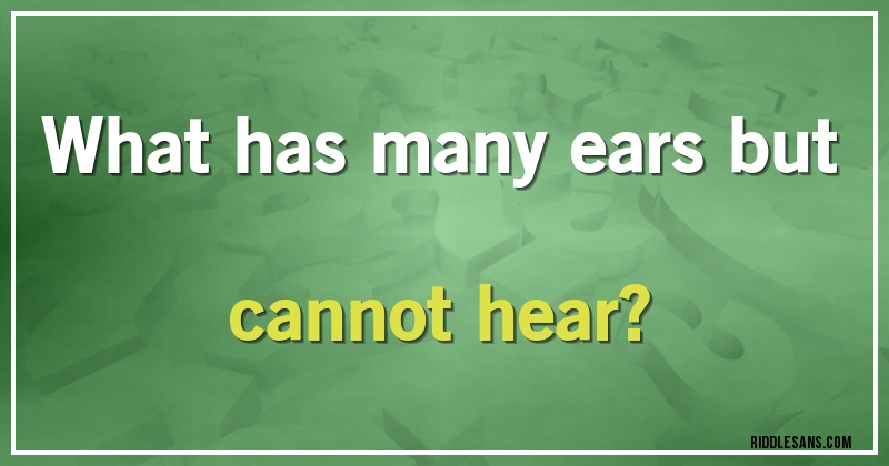 What has many ears but cannot hear?