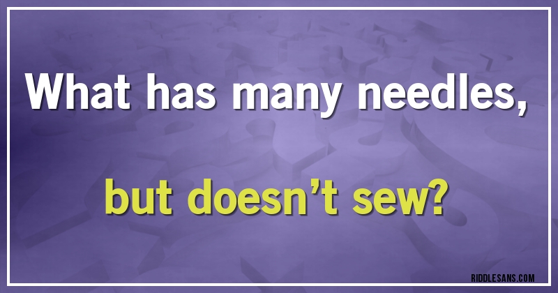 What has many needles, but doesn’t sew?