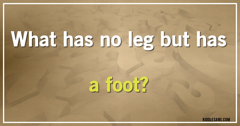 What has no leg but has a foot?