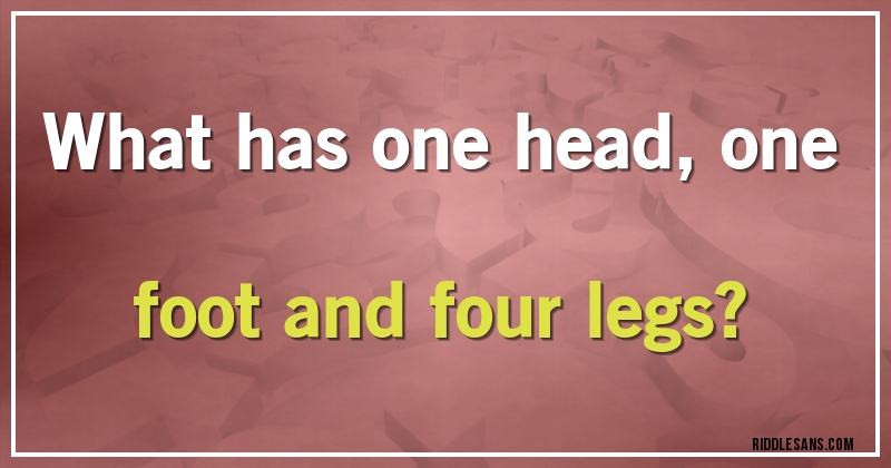 What has one head, one foot and four legs?