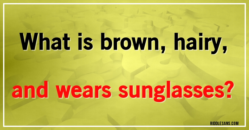 What is brown, hairy, and wears sunglasses?