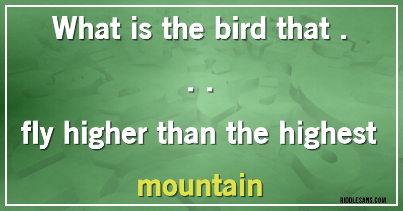 What is the bird that ...
fly higher than the highest mountain