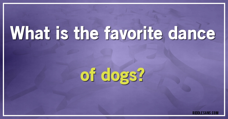 What is the favorite dance of dogs?