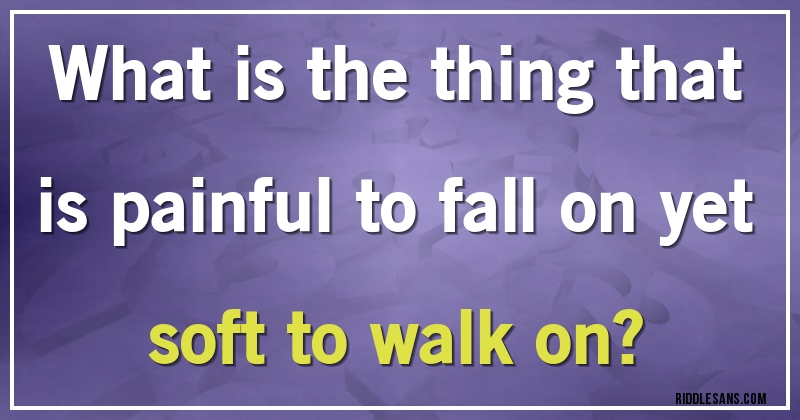 What is the thing that is painful to fall on yet soft to walk on?
