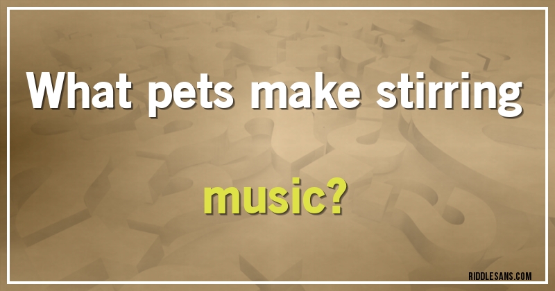 What pets make stirring music?