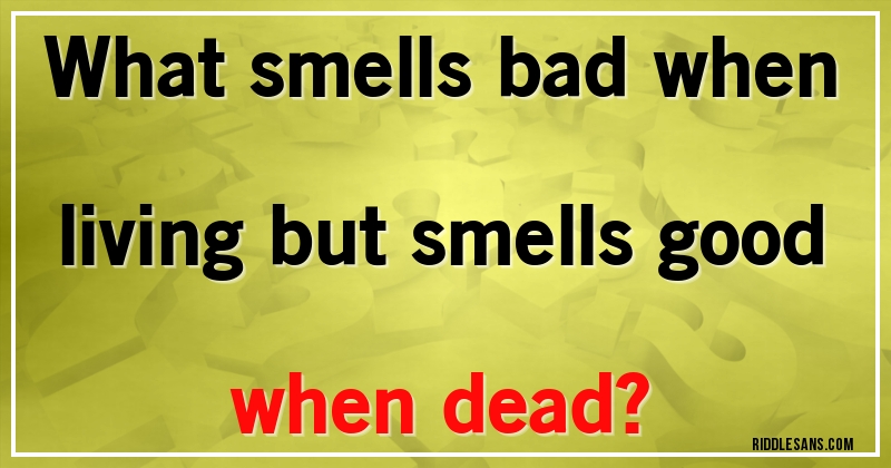 What smells bad when living but smells good when dead?