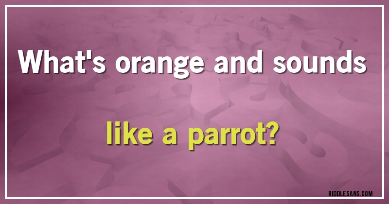 What's orange and sounds like a parrot?