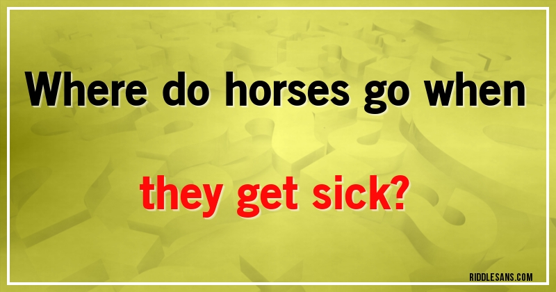 Where do horses go when they get sick?