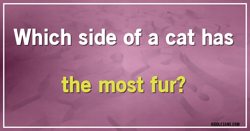 Which side of a cat has the most fur?