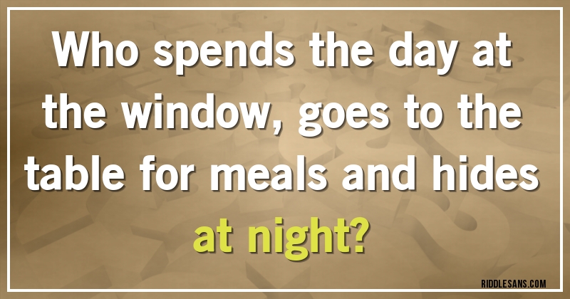 Who spends the day at the window, goes to the table for meals and hides at night?
