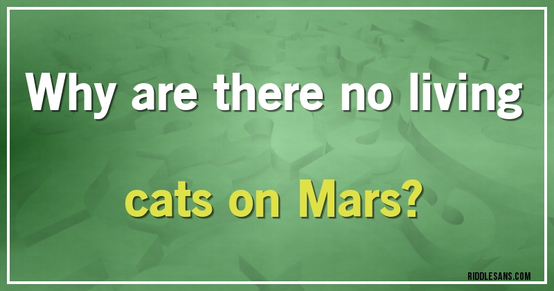 Why are there no living cats on Mars?