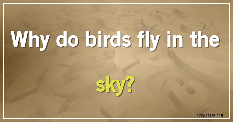 Why do birds fly in the sky?