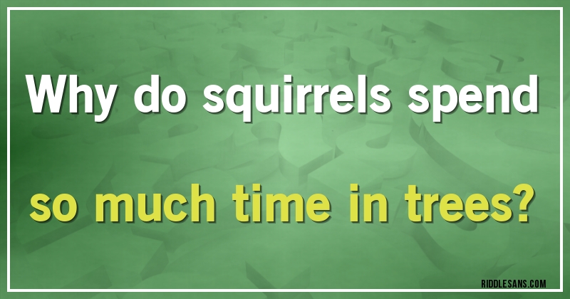 Why do squirrels spend so much time in trees?
