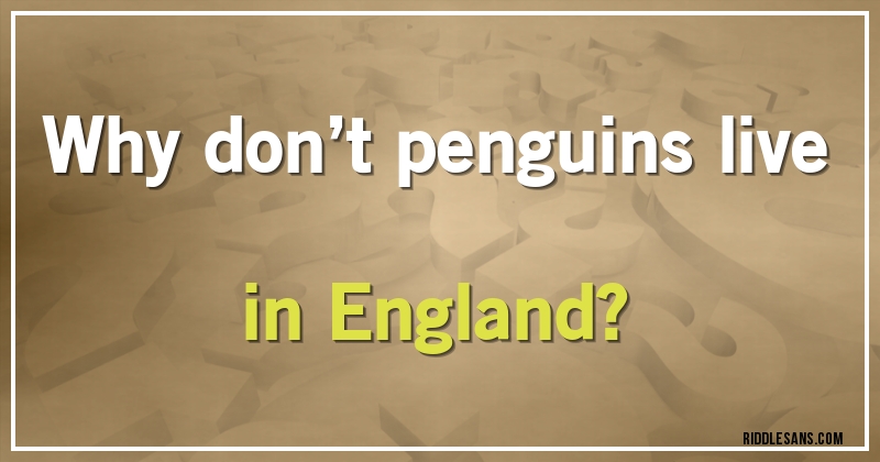 Why don’t penguins live in England?