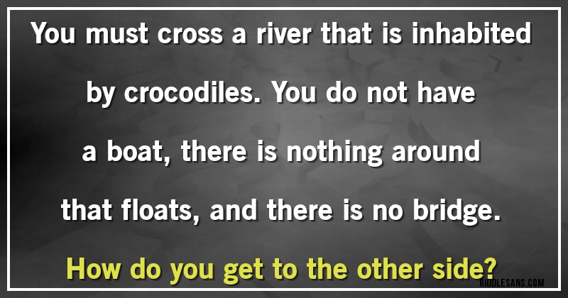 You must cross a river that is inhabited by crocodiles. You do not have a boat, there is nothing around that floats, and there is no bridge. 
How do you get to the other side?